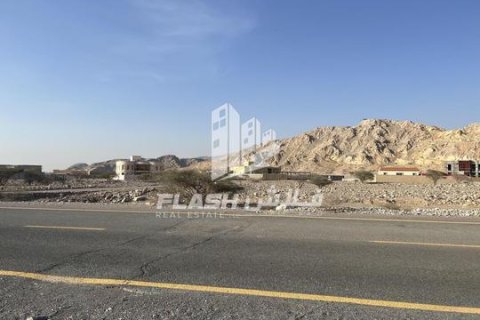Seih Al Harf, Ras Al Khaimah, BAE’de satılık arsa 900 m&sup2; No 730701 - fotoğraf 9