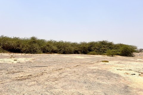 Pământ de vânzare în Al Kharran, Ras Al Khaimah, EAU 900 mp.  №730703 - poză 2