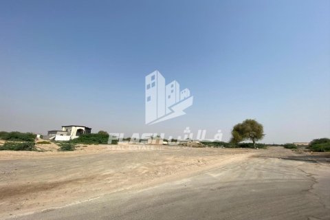 Pământ de vânzare în Al Kharran, Ras Al Khaimah, EAU 900 mp.  №730703 - poză 10