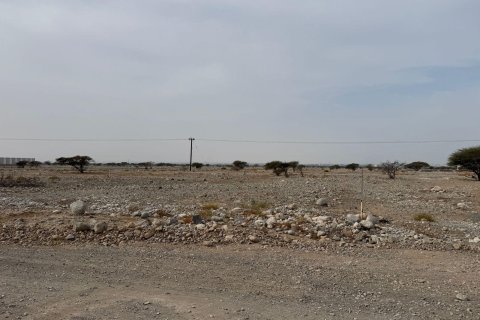 Seih Al Harf, Ras Al Khaimah, UAE의 판매용 토지 1784제곱미터 번호 730699 - 사진 5