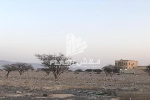 Terreno in vendita a Seih Al Harf, Ras Al Khaimah, EAU 900 mq. № 730702 - foto 8