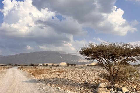 Seih Al Harf, Ras Al Khaimah, UAE의 판매용 토지 883제곱미터 번호 730704 - 사진 6