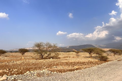 Seih Al Harf, Ras Al Khaimah, UAE의 판매용 토지 883제곱미터 번호 730704 - 사진 3