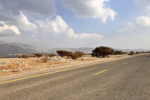 Seih Al Harf, Ras Al Khaimah, UAE의 판매용 토지 883제곱미터 번호 730704 - 사진 10