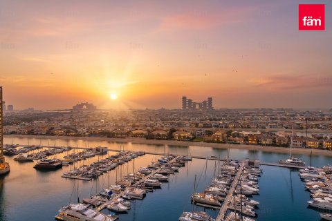 شقة في نخلة جميرا، دبي 2 غرفة نوم ، 155.8 متر مربع . ر قم 711646