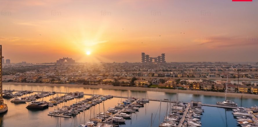 شقة في نخلة جميرا، دبي 2 غرفة نوم ، 155.8 متر مربع . ر قم 711646