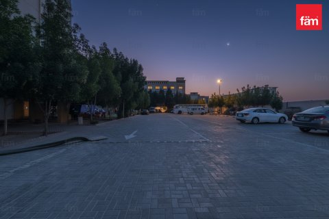 阿联酋 Dubai 待售 : 5459.7 平方米 , 编号668936 - 照片 29