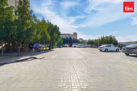 阿联酋 Dubai 待售 : 5459.7 平方米 , 编号668936 - 照片 22