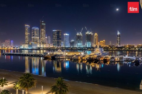 شقة للبيع في Dubai Harbour، دبي، الإمارات العربية المتحدة 1 غرفة نوم ، 73.4 متر مربع ، رقم 718523 - صورة 18