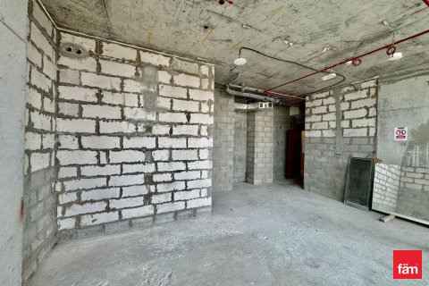 阿联酋 Dubai 待租 : 48.1 平方米 , 编号679970 - 照片 12