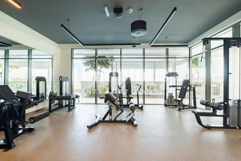 Lägenhet uthyres i Dubai Harbour, Dubai, UAE 1 sovrum, 66.14693600 kvm Nr. 651603 - fotografi 4