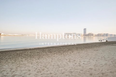 Lägenhet uthyres i Dubai Harbour, Dubai, UAE 1 sovrum, 66.14693600 kvm Nr. 651603 - fotografi 10