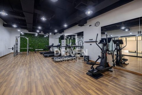 阿联酋 Dubai Al Barsha 待租 : 4 卧, 326.83 平方米 , 编号746895 - 照片 22