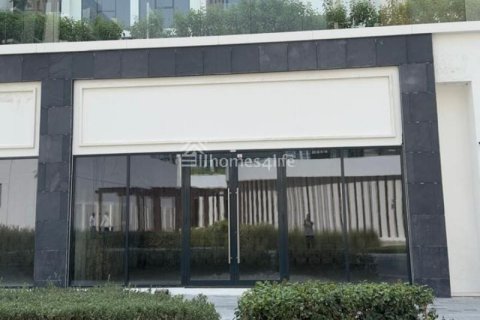 Trgovina u Meydan, Dubai, UAE 45 m2 Br. 706352 - fotografija 2