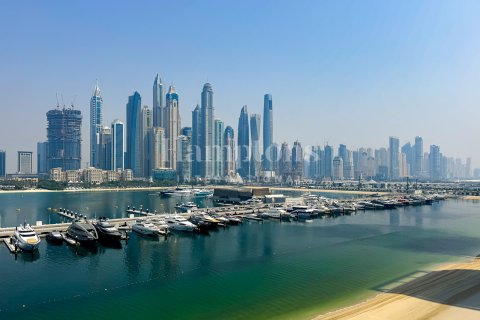 شقة للإيجار في Dubai Harbour، دبي، الإمارات العربية المتحدة 3 غرفة نوم ، 171.47013807 متر مربع ، رقم 670163 - صورة 12