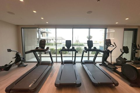 آپارتمان برای اجاره در Mina Rashid، Dubai، امارات متحده عربی 2 خوابه ، 123.29993257 متر مربع ، شماره 703408 - تصویر 5