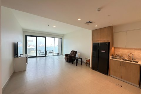 آپارتمان برای اجاره در Mina Rashid، Dubai، امارات متحده عربی 2 خوابه ، 123.29993257 متر مربع ، شماره 703408 - تصویر 20
