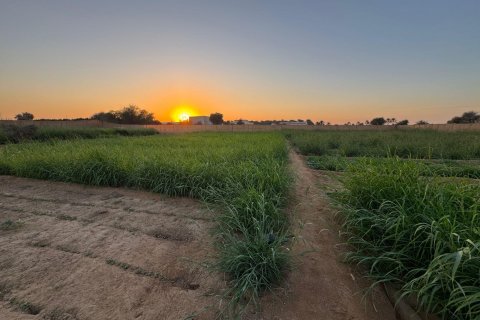 Gård til salgs i Ras Al Khaimah, Emiratene 46452 kvm Nr. 656420 - Foto 9