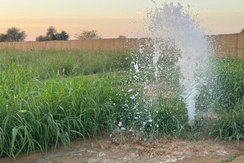 Gård til salgs i Ras Al Khaimah, Emiratene 46452 kvm Nr. 656420 - Foto 6