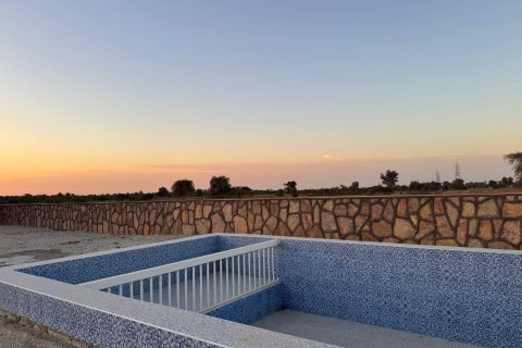 Gård til salgs i Ras Al Khaimah, Emiratene 46452 kvm Nr. 656420 - Foto 3