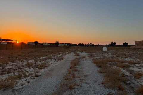 Gård til salgs i Ras Al Khaimah, Emiratene 46452 kvm Nr. 656420 - Foto 14