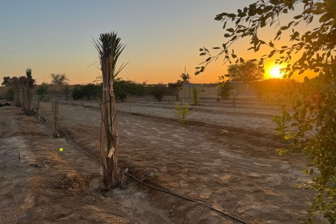 Gård til salgs i Ras Al Khaimah, Emiratene 46452 kvm Nr. 656420 - Foto 10