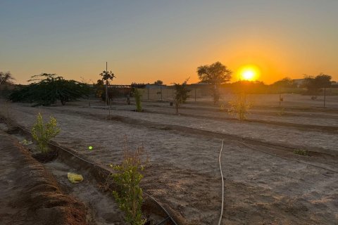 Gård til salgs i Ras Al Khaimah, Emiratene 46452 kvm Nr. 656420 - Foto 12