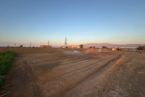 Gård til salgs i Ras Al Khaimah, Emiratene 46452 kvm Nr. 656420 - Foto 8