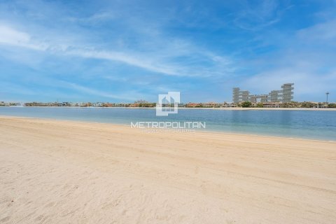 Palm Jumeirah, Dubai, संयुक्त अरब अमीरात में विला, 7 बेडरूम, 1245 वर्ग मीटर, संख्या 663924 - फ़ोटो 30
