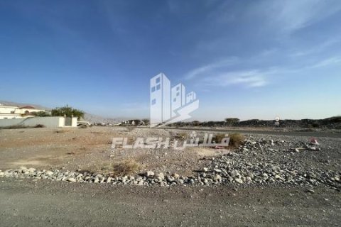 Föld itt: Seih Al Harf, Ras Al Khaimah, EAE, 900 m², azonosító: 730733 - fénykép 9