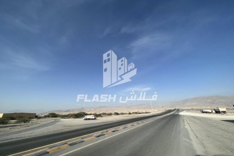 Föld itt: Seih Al Harf, Ras Al Khaimah, EAE, 900 m², azonosító: 730733 - fénykép 2