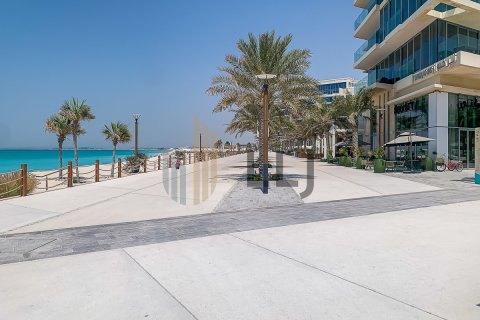 Byt na Saadiyat Island, Abu Dhabi, SAE 2 ložnice, 198 m² Č.: 485647 - fotografie 30