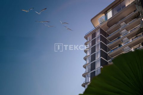 Apartment sa Al Wasl, Dubai, UAE 2 silid-tulugan, 77 sq.m. № 705296 - larawan 2