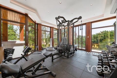 Βίλα σε Al Barari, Dubai, ΗΑΕ 10 υπνοδωμάτια, 2392.44 τ.μ. Αρ. 733399 - φωτογραφία 19
