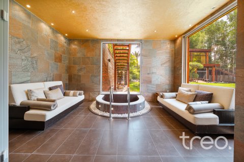 Βίλα σε Al Barari, Dubai, ΗΑΕ 10 υπνοδωμάτια, 2392.44 τ.μ. Αρ. 733399 - φωτογραφία 27