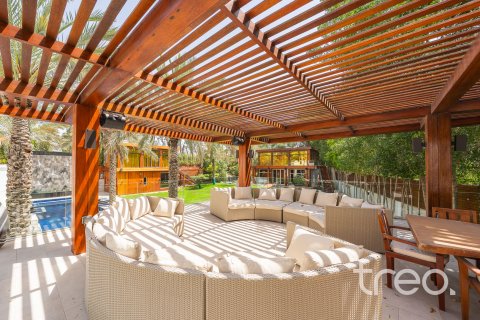 Βίλα σε Al Barari, Dubai, ΗΑΕ 10 υπνοδωμάτια, 2392.44 τ.μ. Αρ. 733399 - φωτογραφία 24