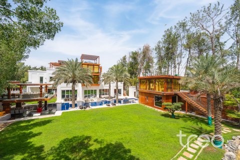 Vilă în Al Barari, Dubai, EAU 10 dormitoare, 2392.44 mp.  №733399