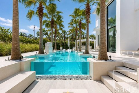 Villa til salg i Jumeirah Islands, Dubai, UAE 4 soveværelser, 1025.93 kvm № 764730 - foto 2
