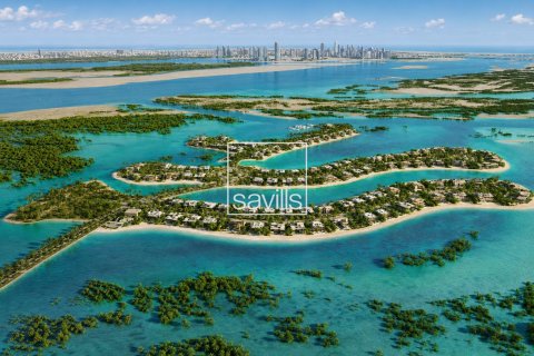 زمین در Abu Dhabi ، امارات متحده عربی 1833.91 متر مربع.  شماره 755363