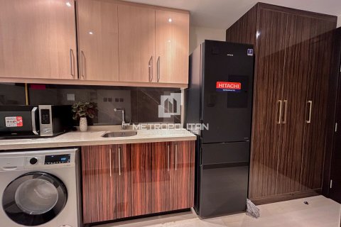 阿联酋 Dubai Downtown Dubai (Downtown Burj Dubai) 待售 : 40 平方米 , 编号663836 - 照片 10