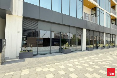 Veikals Dubaijā, AAE 113.5 m2 Nr. 655635 - attēls 11