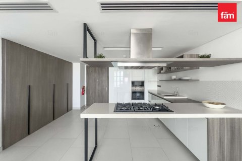 阿联酋 Dubai Palm Jumeirah 待租 : 1 卧, 118.7 平方米 , 编号655631 - 照片 12