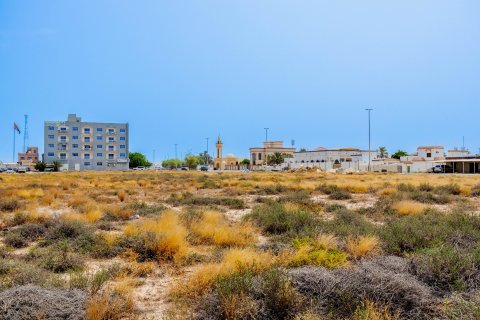 Terra para venda em Al Mairid, Ras Al Khaimah, EAU 1347 m2 № 656460 - foto 3