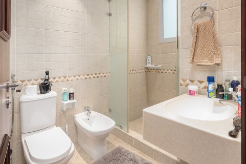 Vila u Falcon City of Wonders, Dubai, UAE 5 spavaćih soba, 540.14 m2 Br. 749902 - fotografija 18