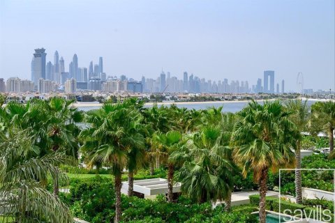 شقة للبيع في نخلة جميرا، دبي، الإمارات العربية المتحدة 3 غرفة نوم ، 341 متر مربع ، رقم 680841 - صورة 21