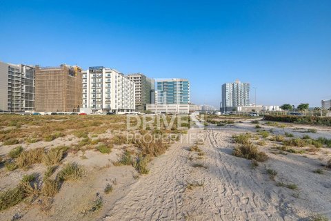 Land til salg i Majan, Dubai, UAE 2173.93 kvm № 762455 - foto 2