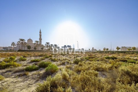 Land til salg i Majan, Dubai, UAE 2173.93 kvm № 762455 - foto 11