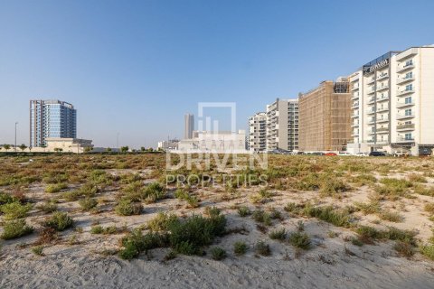 Land til salg i Majan, Dubai, UAE 2173.93 kvm № 762455 - foto 4