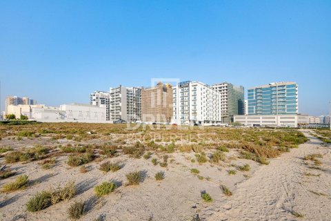 Land til salg i Majan, Dubai, UAE 2173.93 kvm № 762455 - foto 6