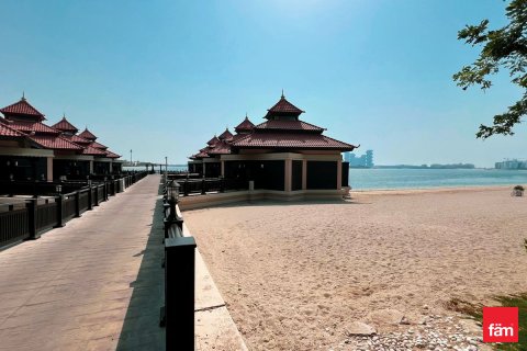 阿联酋 Dubai Palm Jumeirah 待售 : 1 卧, 107.6 平方米 , 编号700029 - 照片 19